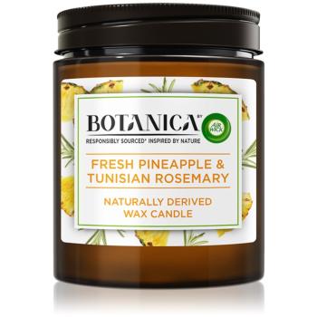 Air Wick Botanica Fresh Pineapple & Tunisian Rosemary świeczka zapachowa 205 g