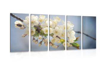 5-częściowy obraz gałązka kwitnącej wiśni - 200x100