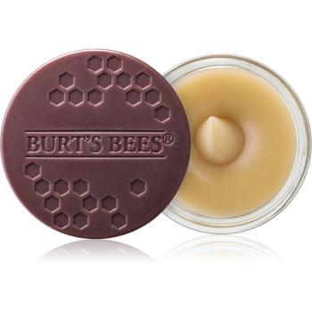 Burt’s Bees Lip Scrub peeling do ust o działaniu odżywczym 7.08 g