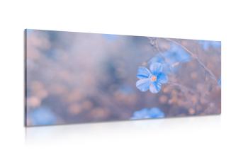 Obraz niebieskie kwiaty na tle vintage - 100x50
