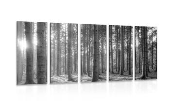 5-częściowy obraz poranek w lesie w wersji czarno-białej - 200x100