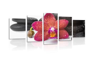 5-częściowy obraz orchidea i kamienie Zen na białym tle - 200x100