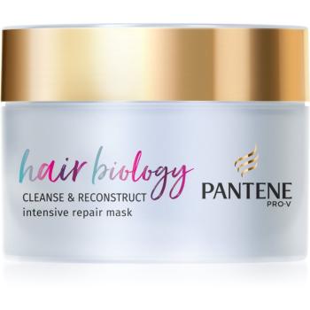 Pantene Hair Biology Cleanse & Reconstruct maska do włosów do włosów zniszczonych 160 ml