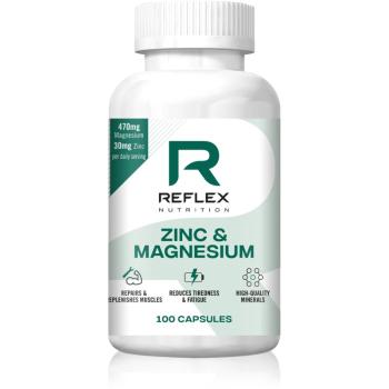 Reflex Nutrition Zinc & Magnesium kapsułki dla prawidłowego funkcjonowania organizmu 100 caps.