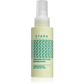 Gyada Cosmetics Spirulina spray do ochrony do włosów zniszczonych częstym suszeniem 0 ml