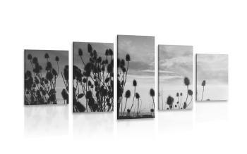 5-częściowy obraz źdźbła trawy na polu w wersji czarno-białej - 200x100