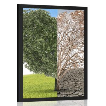 Plakat drzewo w dwóch formach - 40x60 silver