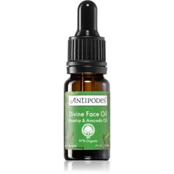 Antipodes Divine Face Oil Rosehip & Avocado Oil serum ochronne przeciw pierwszym oznakom starzenia skóry 10 ml