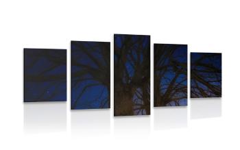 5-częściowy obraz drzewa w nocnym krajobrazie - 200x100