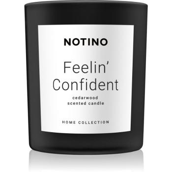 Notino Home Collection Feelin' Confident (Cedarwood Scented Candle) świeczka zapachowa 220 g