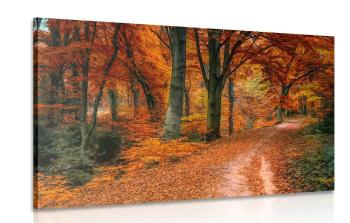 Obraz las jesienią - 120x80