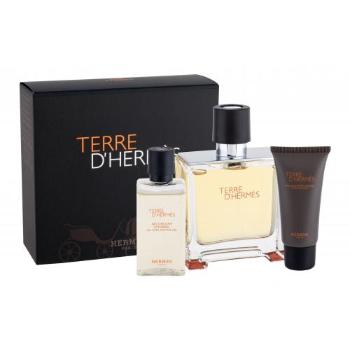 Hermes Terre d´Hermès zestaw 75ml + 40ml Żel pod prysznic + 15ml Balsam po goleniu dla mężczyzn