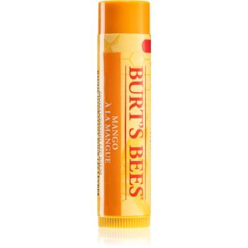 Burt’s Bees Lip Care odżywczy balsam do ust (with Mango Butter) 4,25 g