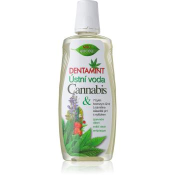 Bione Cosmetics Dentamint Cannabis płyn do płukania jamy ustnej 500 ml