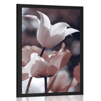 Plakat wiosenne tulipany w parku - 20x30 black