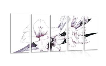 5-częściowy obraz ilustracja kwitnącego mieczyka - 100x50