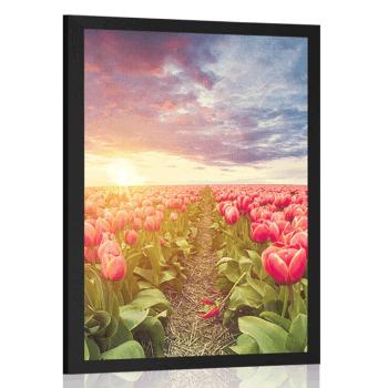Plakat wschód słońca nad łąką z tulipanami - 60x90 black