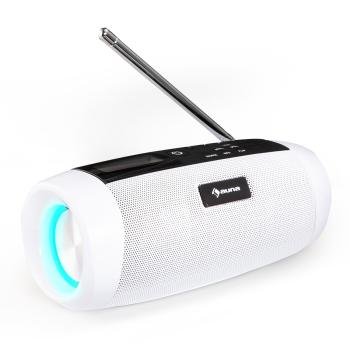 Auna Blaster DAB, głośnik przenośny z radiem, Bluetooth, DAB/DAB+/FM, akumulator, LCD