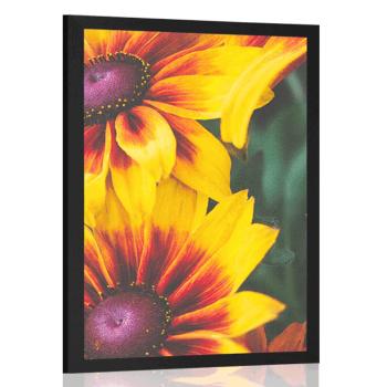 Plakat atrakcyjne dwukolorowe kwiaty - 30x45 black