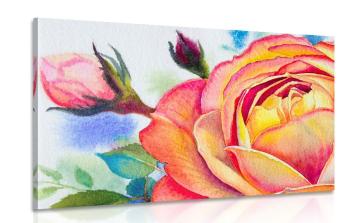 Obraz róże w odcieniach różu - 60x40