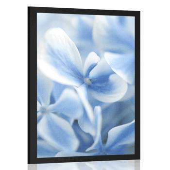 Plakat niebiesko-białe kwiaty hortensji - 60x90 silver