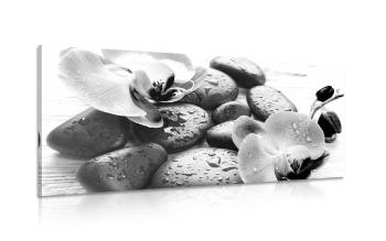 Obraz magiczna gra kamieni i orchidei w wersji czarno-białej - 100x50