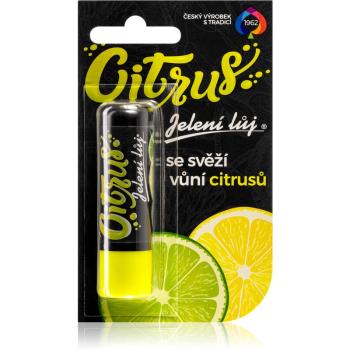 Regina Citrus balsam do ust cytrusowoc cytrusowy 4.5 g