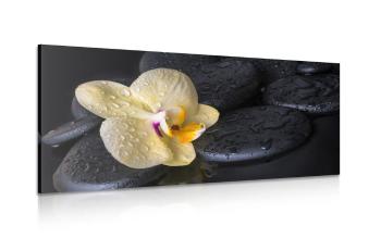 Obraz kamienie Zen z żółtą orchideą - 120x60