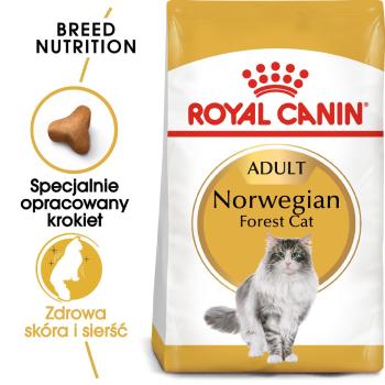 ROYAL CANIN Norvegien 10 kg karma sucha dla kotów dorosłych rasy norweski leśny