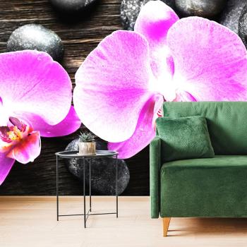 Samoprzylepna fototapeta piękna orchidea i kamienie - 150x100