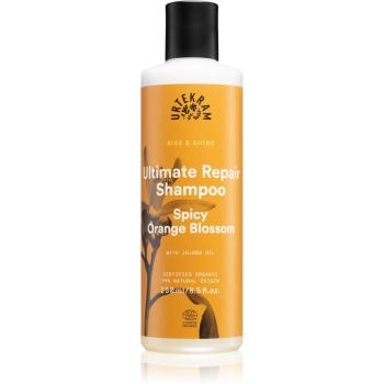 Urtekram Spicy Orange Blossom szampon do włosów suchych i zniszczonych 250 ml