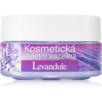 Bione Cosmetics Lavender wazelina kosmetyczna z lawendą 155 ml