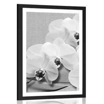 Plakat z passe-partout orchidea na płótnie w czarno-białym kolorze - 60x90 silver