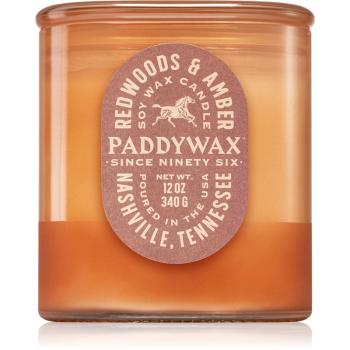 Paddywax Vista Redwoods & Amber świeczka zapachowa 340 g