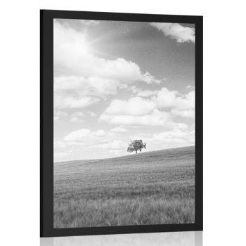 Plakat piękny słoneczny dzień na łące w czerni i bieli - 60x90 black