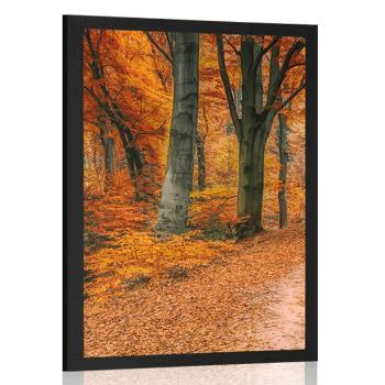 Plakat las w sezonie jesiennym - 30x45 silver