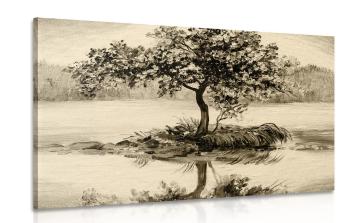 Obraz wiśnia orientalna w sepii - 60x40