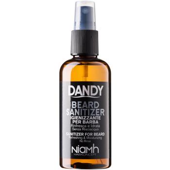 DANDY Beard Sanitizer spray oczyszczający bez spłukiwania do zarostu 100 ml
