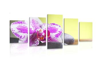5-częściowy obraz orchidea i czarne kamienie - 200x100