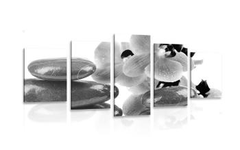 5-częściowy obraz kamienie SPA i orchidea w czarnobiałym kolorze - 200x100