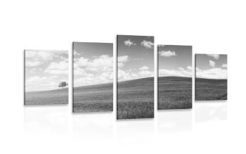 5-częściowy obraz piękny dzień na łące w wersji czarno-białej - 200x100