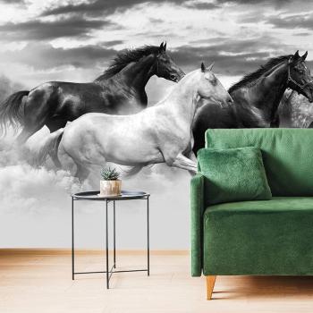 Tapeta czarno-białe stado koni - 300x200