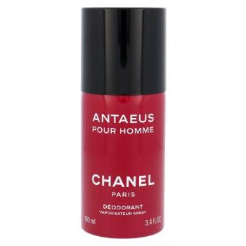 Chanel Antaeus Pour Homme 100 ml dezodorant dla mężczyzn