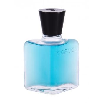 Roberto Capucci Blu Water 100 ml woda po goleniu dla mężczyzn