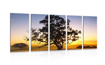 5-częściowy obraz samotne drzewo o zachodzie słońca