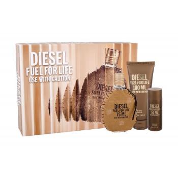 Diesel Fuel For Life Homme zestaw Edt 75 ml + Żel pod prysznic 100 ml dla mężczyzn