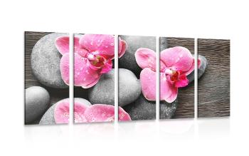 5-częściowy obraz elegancka kompozycja z kwiatami orchidei - 200x100