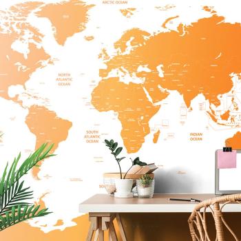 Tapeta mapa świata z poszczególnymi państwami w kolorze pomarańczowym - 150x100
