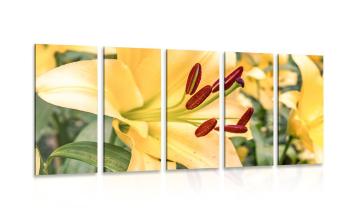 5-częściowy obraz żółta lilia - 200x100