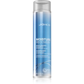 Joico Moisture Recovery szampon nawilżający do włosów suchych 300 ml
